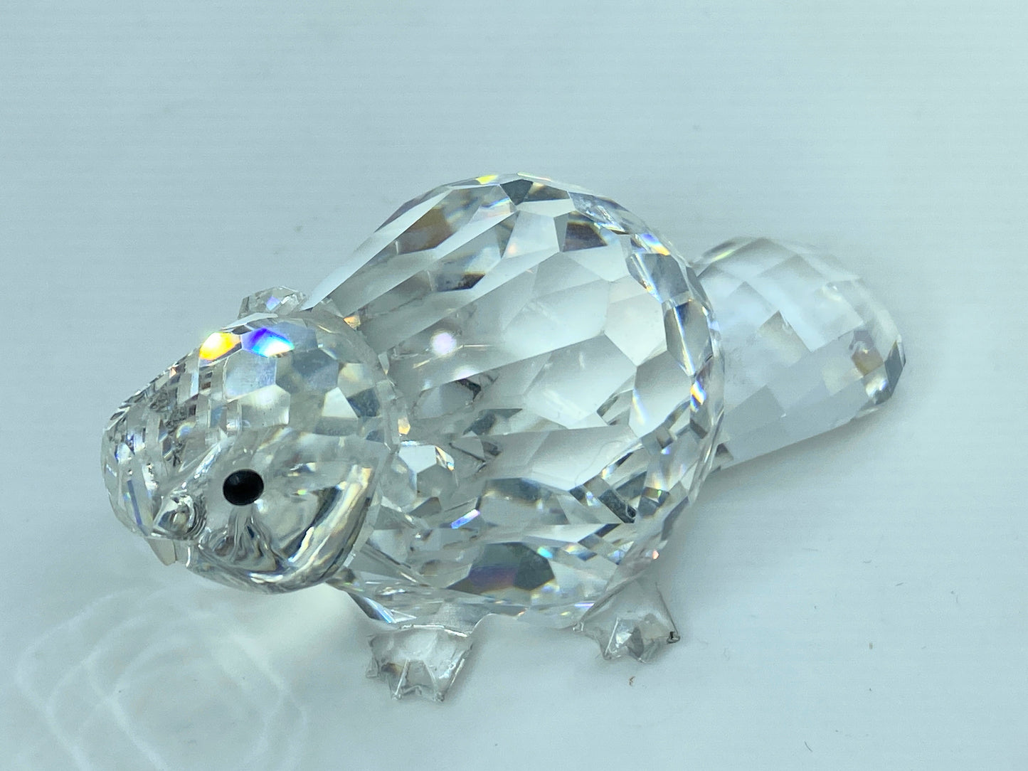 Swarovski Figurine: 164637 Beaver Mother 3 1/8" COA with Mirror S124
