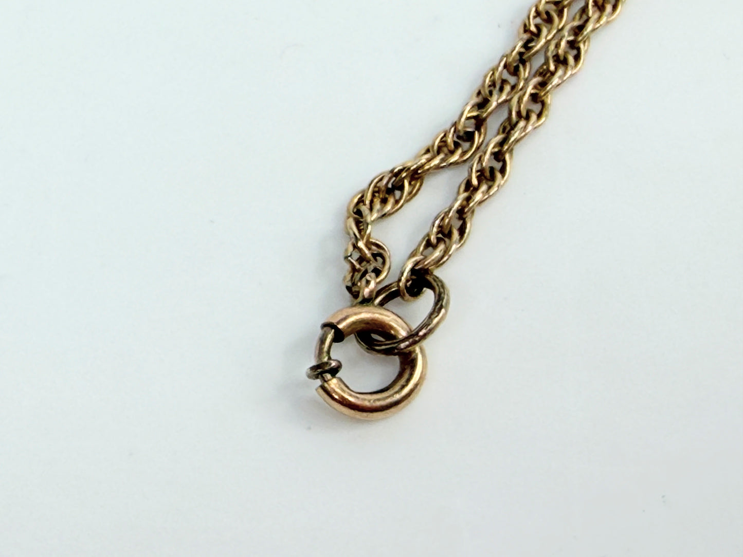 Victorian 14K Carnelian Intaglio Pendant Necklace 19in JR1384