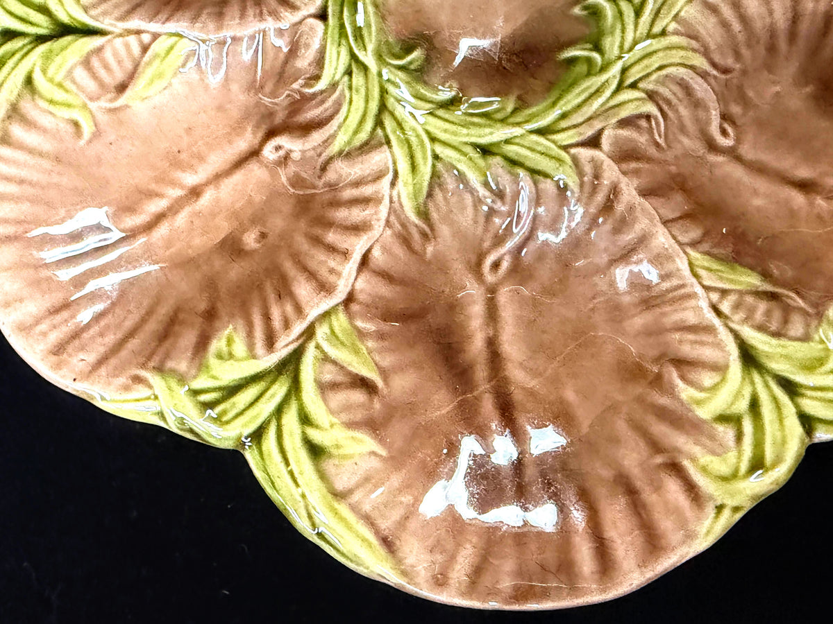 Antique French Majolica Oyster Plate Brown Green Floral 6-Well 8.75" A1247