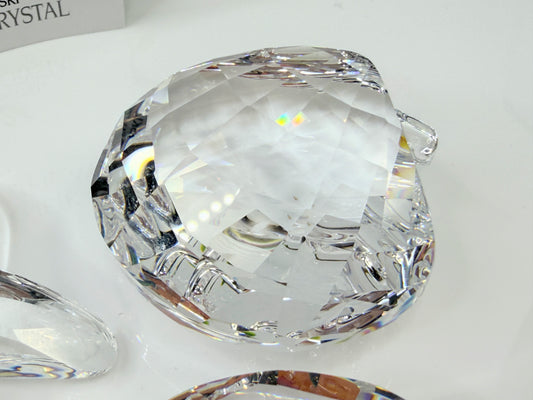 Vintage Swarovski Ocean Wonders Sea Life Trio Clam Starfish Conch Retired S277