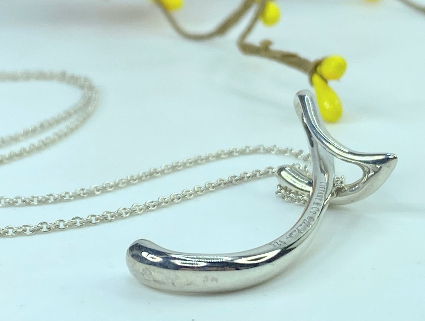 Vintage Tiffany & Co Silver Peretti Alphabet 2" XL T Necklace Pendant Charm GS921