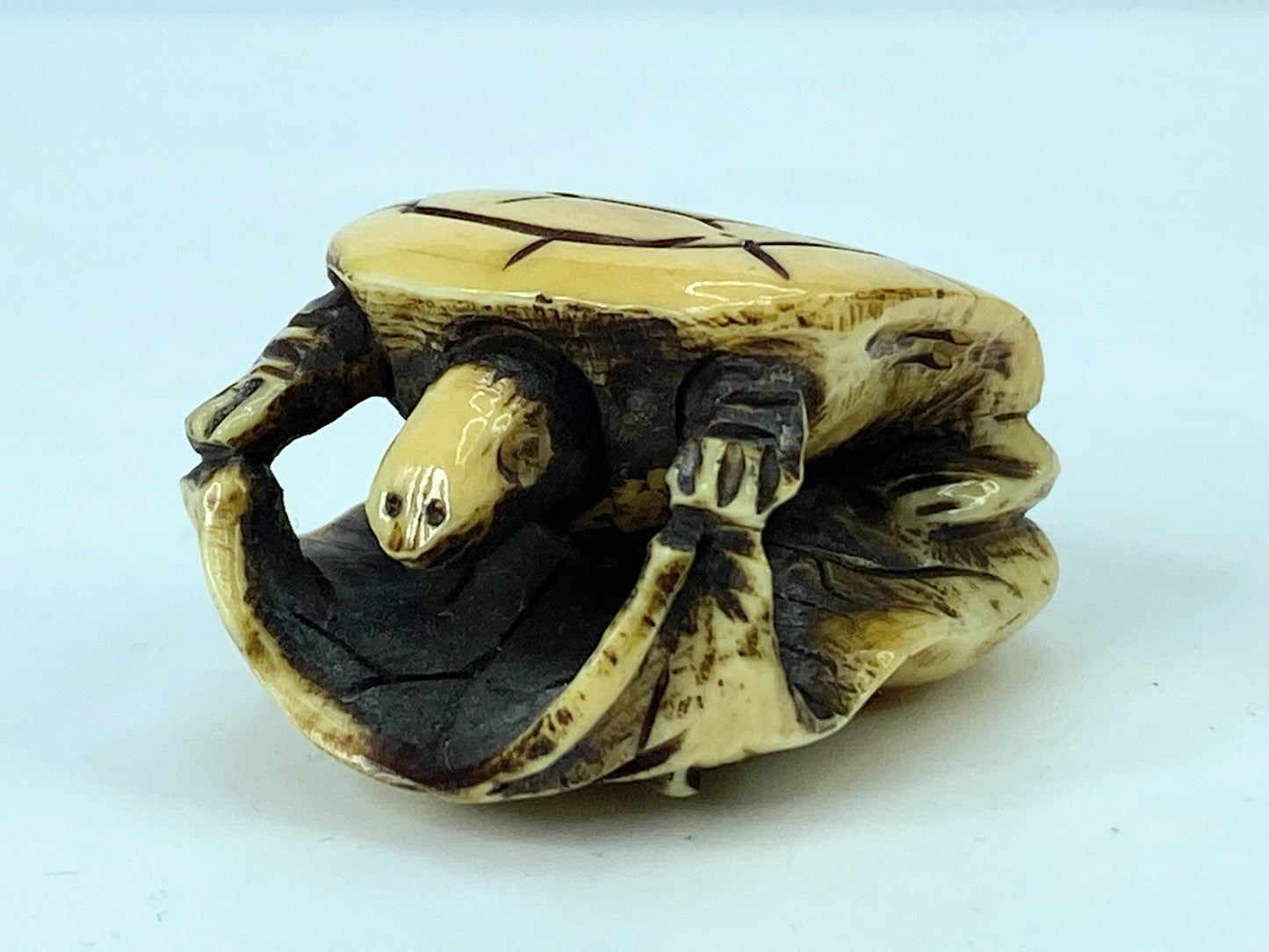 c1900 carved Bakelite (?)/ Resin Netuske Turtle 1 3/8" GS640