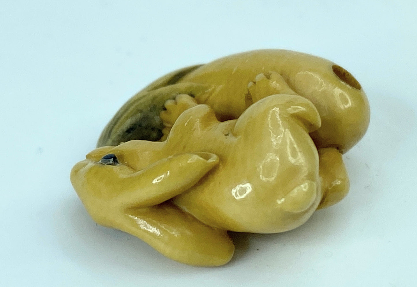 Mid century bone netsuka Rabbit pulling a squash 22.5mm GS646