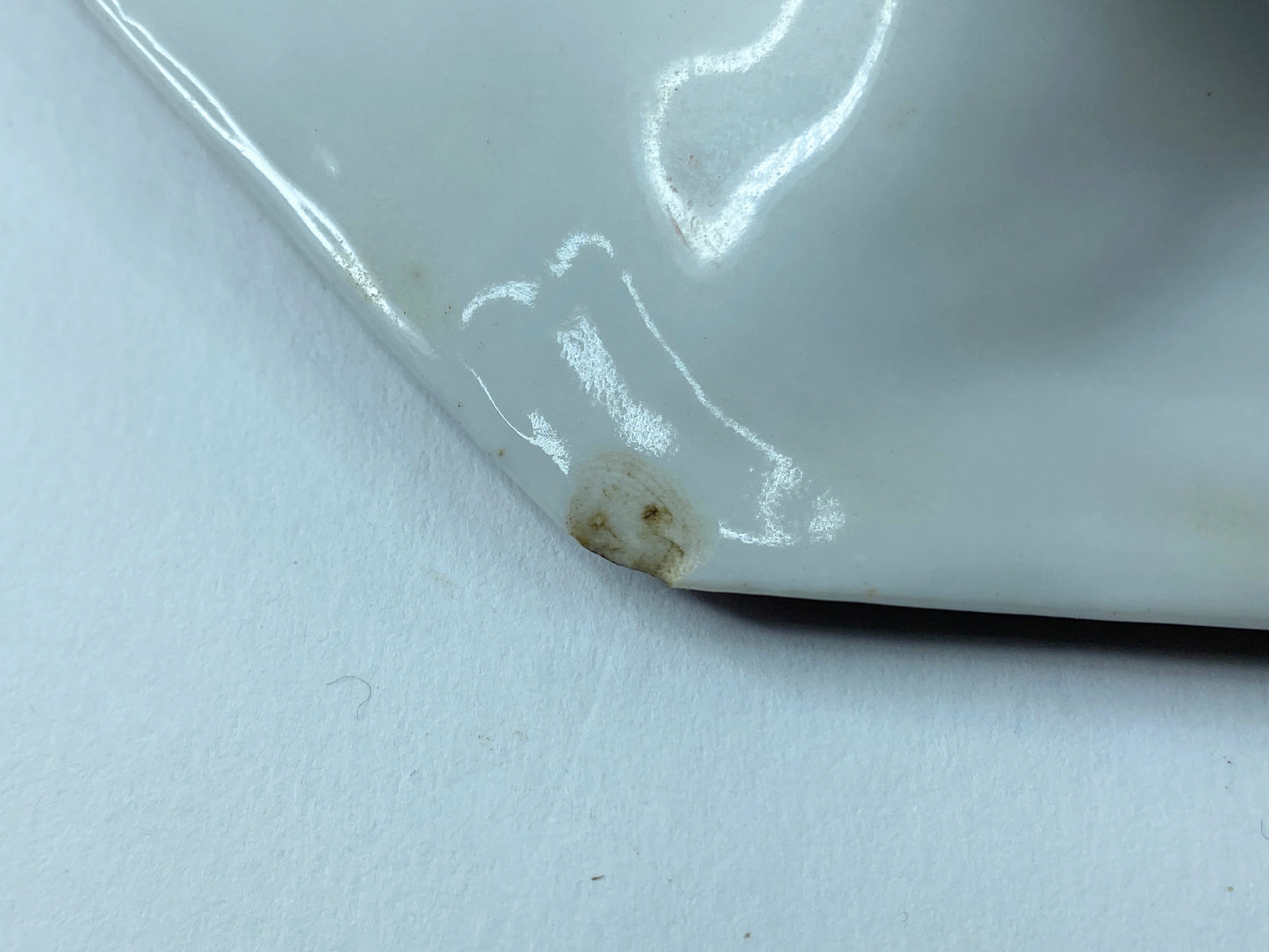 Rare Antique Hand-Painted Oyster Plate with Sea Creatures octagon design 8" A403