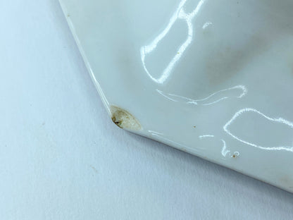 Rare Antique Hand-Painted Oyster Plate with Sea Creatures octagon design 8" A403