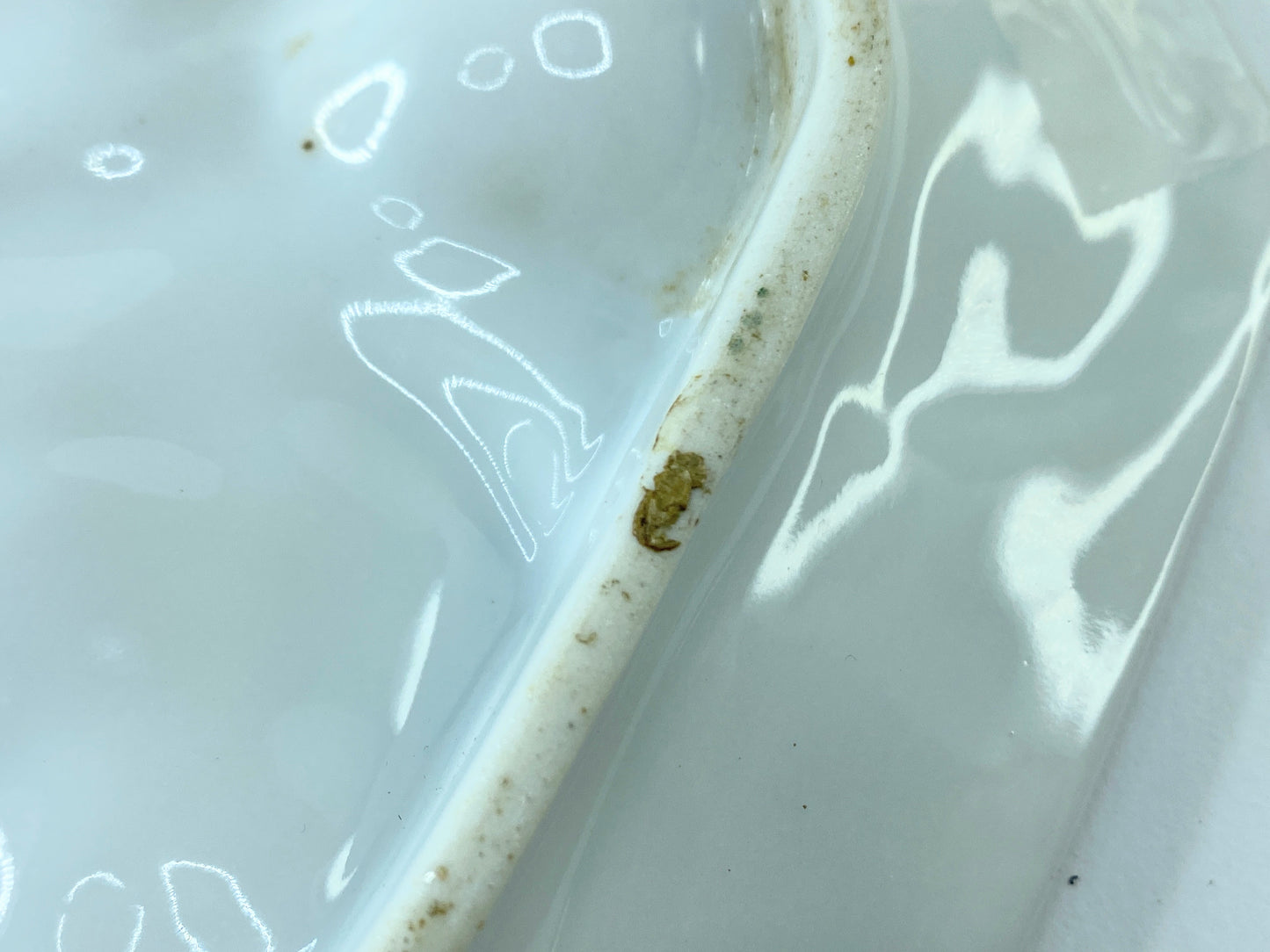 Rare Antique Hand-Painted Oyster Plate with Sea Creatures octagon design 8" A403