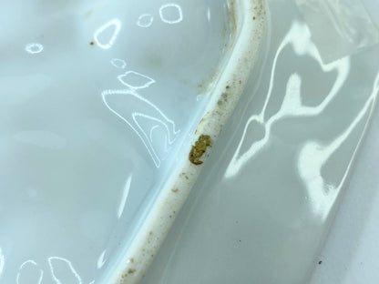 Rare Antique Hand-Painted Oyster Plate with Sea Creatures octagon design 8" A403