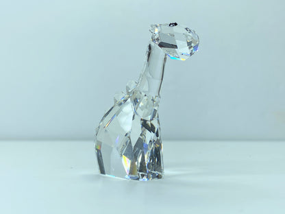 Swarovski Crystal: 832181 Jay D Dinosaur with box S10