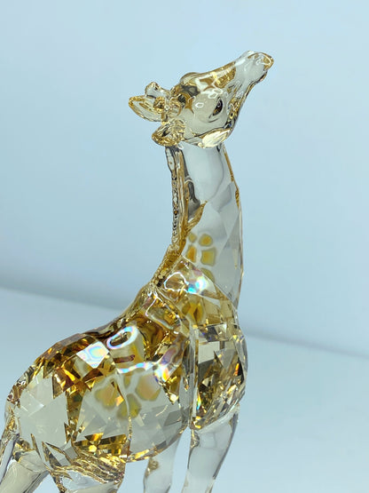 Swarovski SCS Annual Edition 2018 Giraffe Baby Companion Mudiwa S25