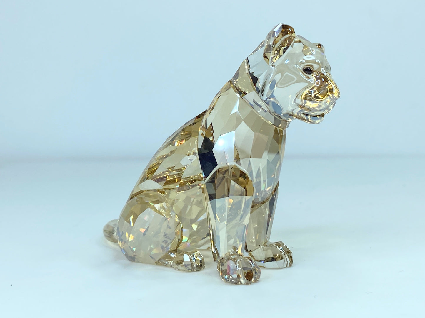 Swarovski SCS Lion Cub Akili 5135896 Crystal Figurine Mint in Boxes S27