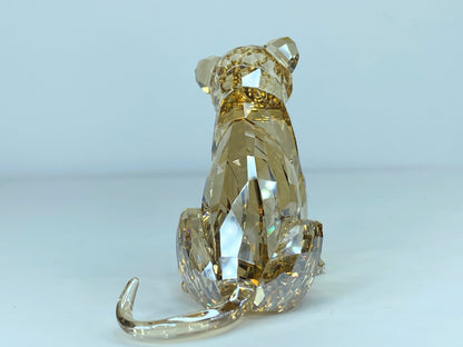 Swarovski SCS Lion Cub Akili 5135896 Crystal Figurine Mint in Boxes S27