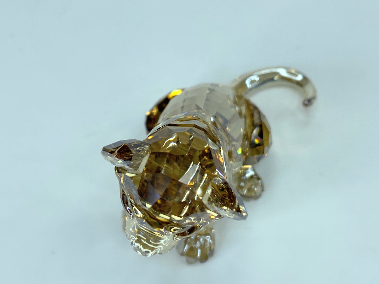 Swarovski SCS Lion Cub Akili 5135896 Crystal Figurine Mint in Boxes S27